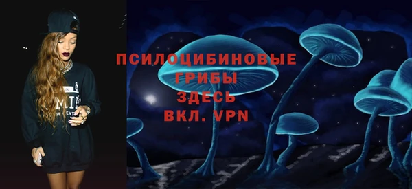 гидропоника Заводоуковск