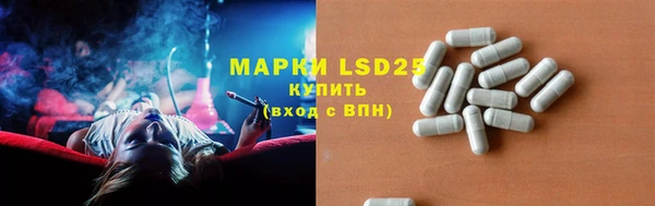 ГАЛЛЮЦИНОГЕННЫЕ ГРИБЫ Елабуга
