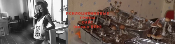 герыч Ельня