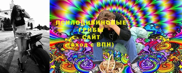 гидропоника Заводоуковск