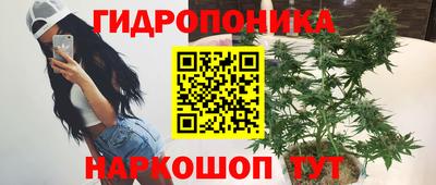 spice Краснокаменск