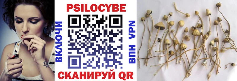 Галлюциногенные грибы мухоморы  купить наркоту  Заволжье 
