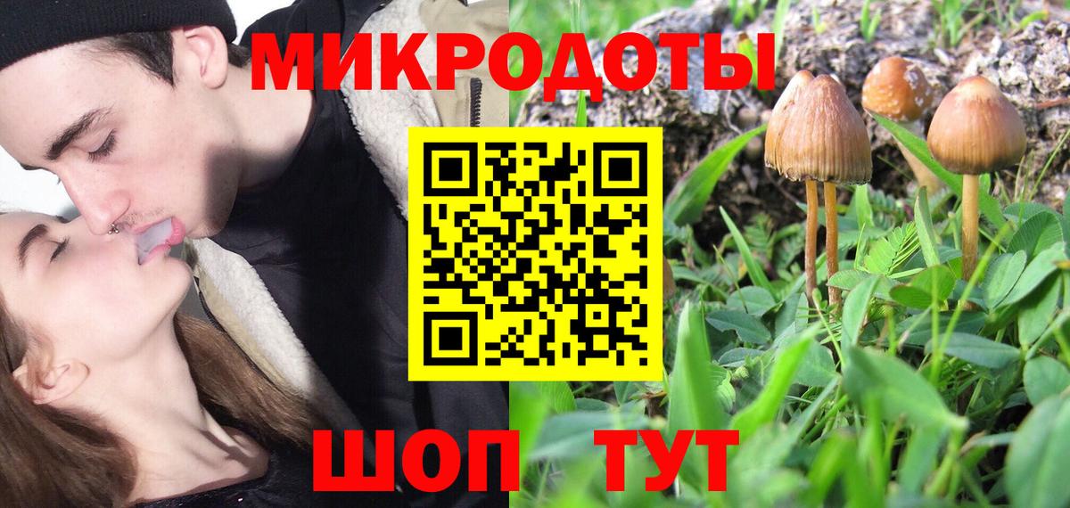Заволжье  Галлюциногенные грибы Psilocybine cubensis  Вход с VPN 